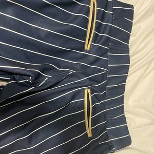 Blue Pinstripe Champro Softball Pants